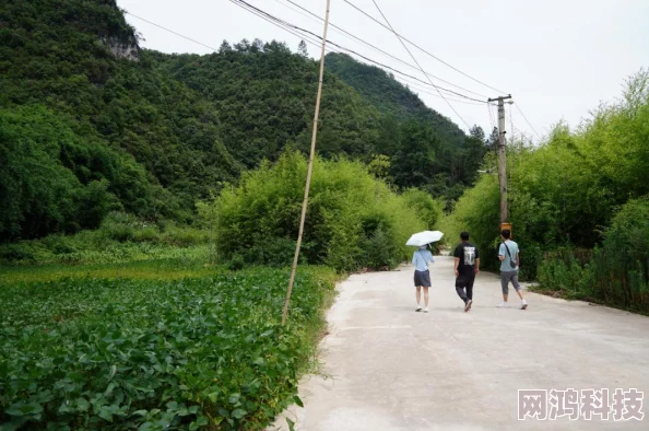 2024年超火热门烧烤摊经营手游精选，打造你的梦幻美食帝国，必玩的精彩模拟创业游戏