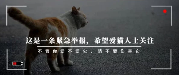 网友热评期待！献给爱猫人士的叙事冒险游戏《废城喵游记》定档12月10日震撼发布