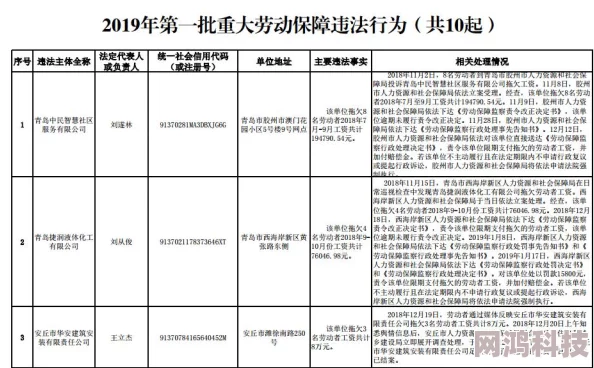 揭秘！第五人格正义惩戒全新使用攻略，惊喜发现：快速定位与高效运用技巧！