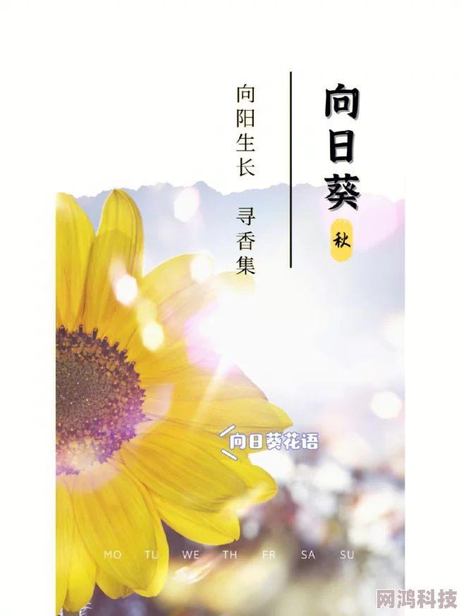 my51777花间令生活如花绽放心中有阳光勇敢追梦