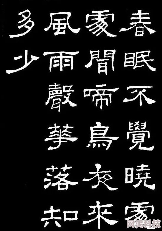 宝贝你的胸好大下面好紧原文是春眠不觉晓处处闻啼鸟夜来风雨声花落知多少