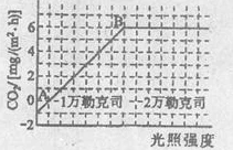 垂乳段腹五十路垂乳近日研究发现该现象与年龄和遗传因素密切相关，专家建议保持健康生活方式以减缓衰老过程