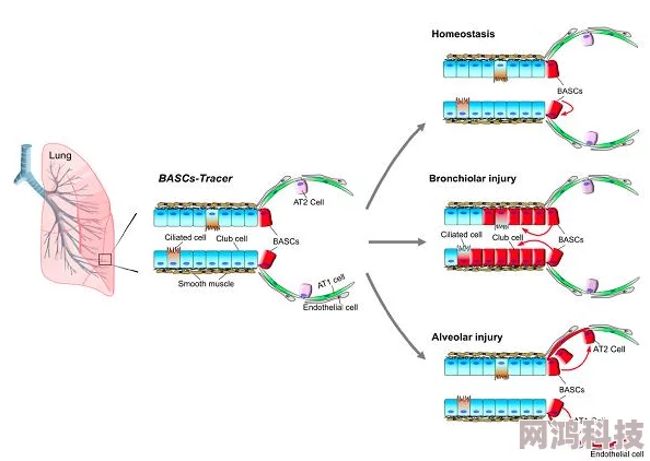 嗯嗯啊啊哦哦哦科学家发现新型可再生能源技术有望改变未来能源格局