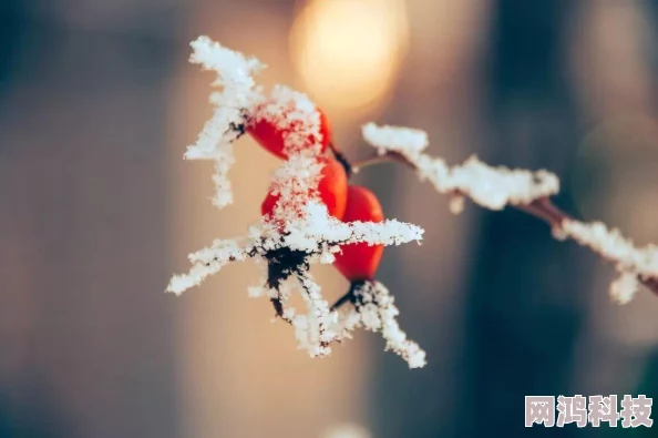 小雪的性生活积极向上，珍惜每一刻，享受生活的美好与快乐