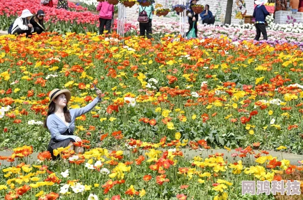 九月色婷婷九月的花海绽放出五彩斑斓的色彩吸引了众多游客前来观赏