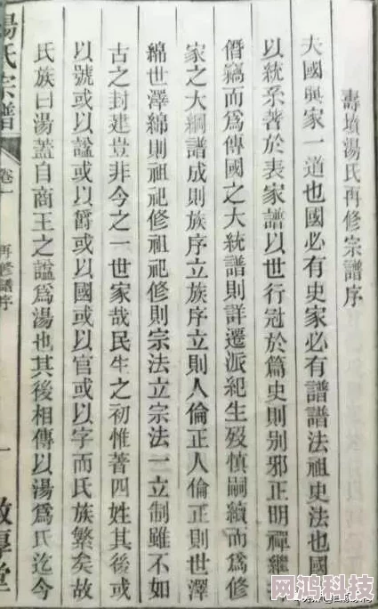 人伦小说家族秘密逐渐浮出水面众人命运面临巨大考验