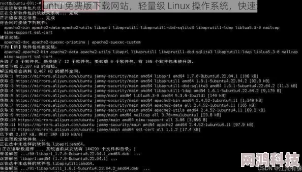 Lubuntu在线入口免费破解版安装包下载速度提升50%稳定性优化