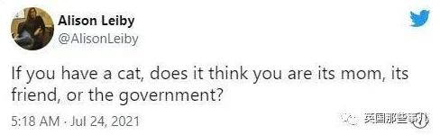 欧美另类小说乱小说听说作者大大最近沉迷养猫还开了个宠物账号