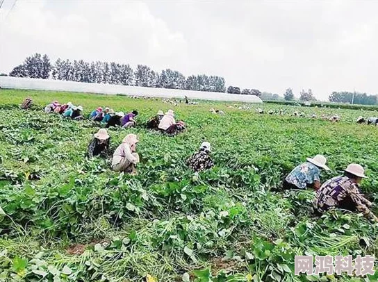 爆料：《龙腾世纪》重制版合集因引擎技术难题开发受阻严重