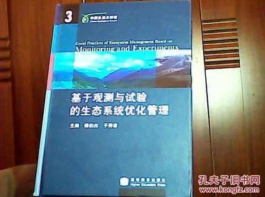 体内精汇编6开发顺利进行中引擎优化完成开始内部测试