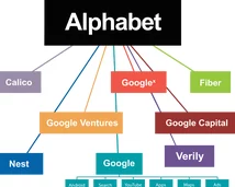 fi11四叶草实验室2024项目已完成alpha测试进入beta测试阶段持续优化用户体验