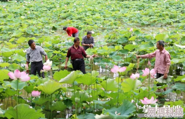 丁香六月久久在阳光下绽放希望与梦想，愿每一天都充满正能量与美好。