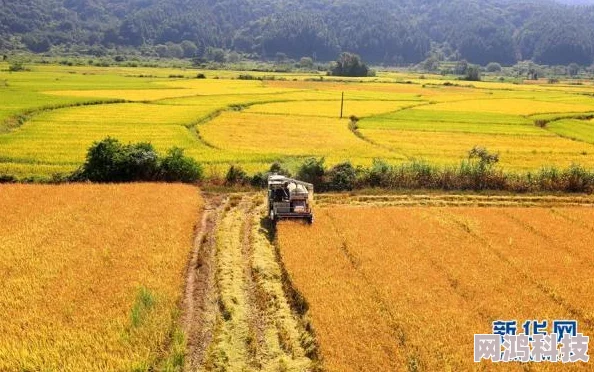 桃源深处有人家农忙时节活动全攻略：玩法揭秘与最新爆料信息汇总