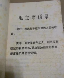 金锋关晓柔小说全文免费阅读情节老套文笔幼稚错字连篇浪费时间