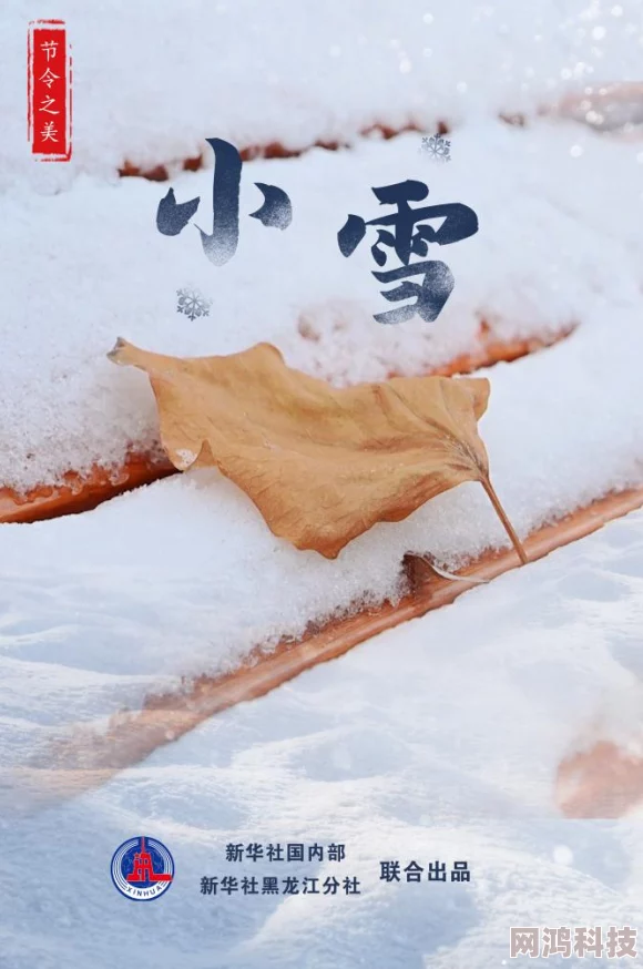 爽好舒服快深点小雪令人担忧的沉迷与潜在风险