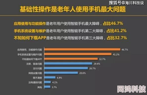 精品久久精品老人网内容低俗质量差用户体验不佳