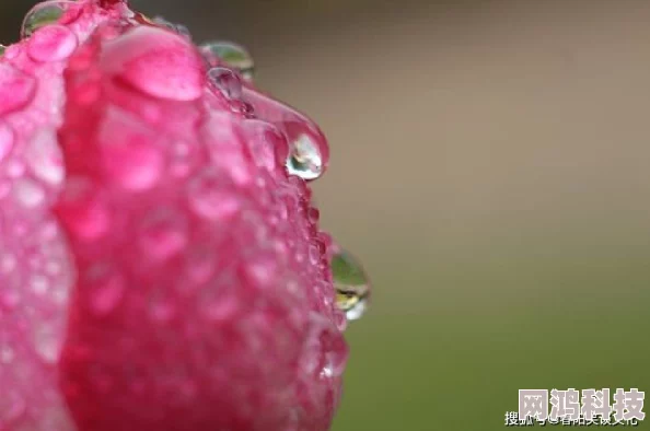 老情妇网友称其人生经历复杂引人深思