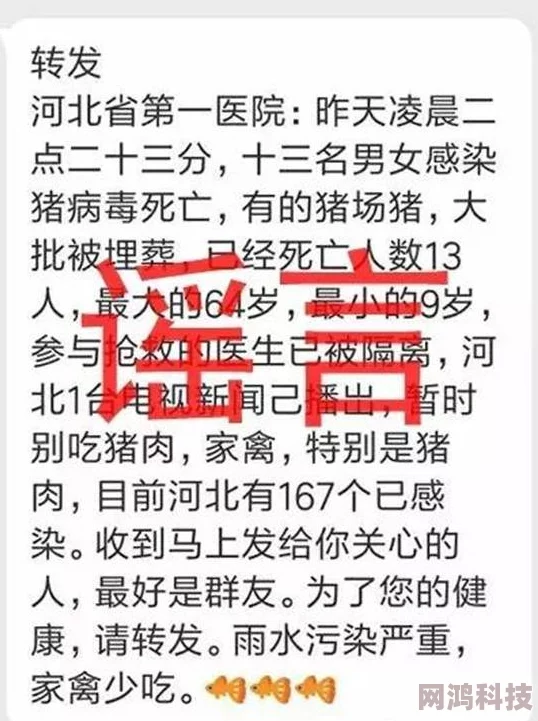 午夜精品视频任你躁涉嫌传播不良信息已被举报