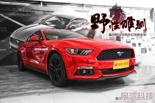 野性难驯Mustang：UntamedSpirit展现少女心事与自由渴望的成长之旅