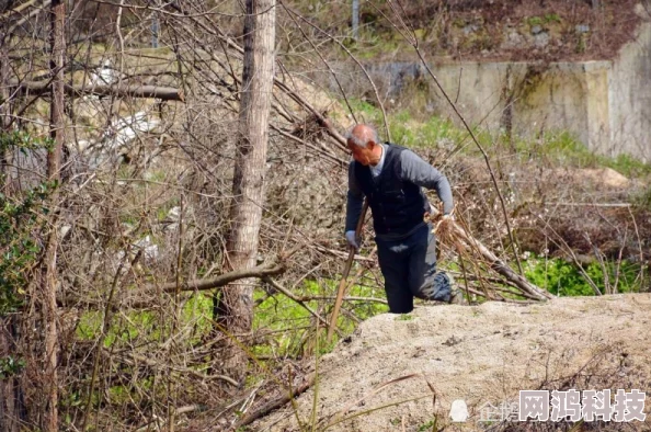 老头树林荒废多年杂草丛生居民盼望修缮改建