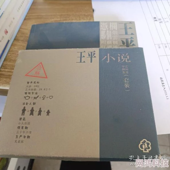 王牌教师王平小说文笔流畅情节引人入胜角色刻画鲜明