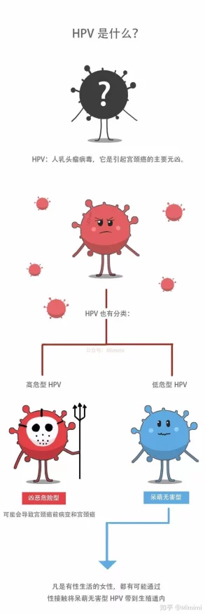 女的用嘴巴吃鸡会得HPV此说法缺乏科学依据HPV主要通过性接触传播