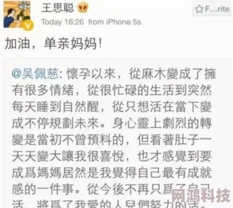 生了豪门继承人我膨胀了(重生)豪门梦碎一地鸡飞蛋打负债累累