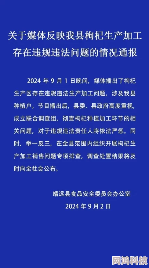 国产精品对白受不了展现文化自信与本土表达的探索引发网络热议