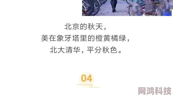 短篇情艳交换短篇小说探索两性关系中欲望与情感的纠葛与释放