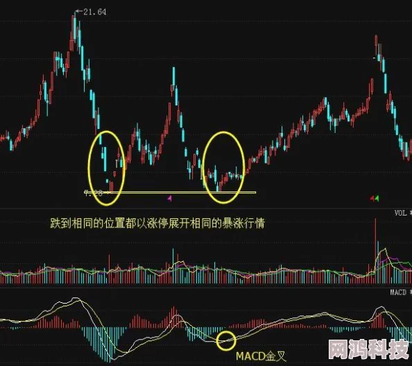 完美世界新品震撼发布，今日盘中强势涨停，资本市场高度关注内幕消息