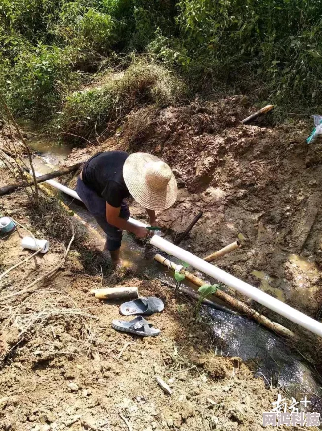 山上种田那些年喜获丰收下山致富奔小康