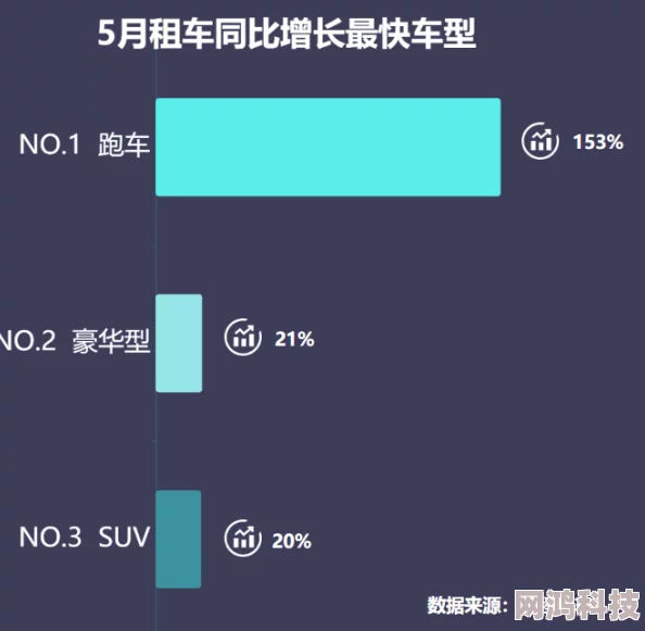 国产又大又长又租又大为何功能强大用途广泛租期灵活备受消费者青睐