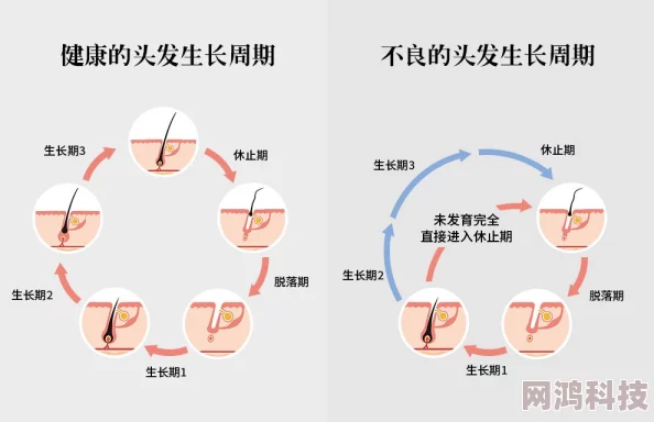 《Drova》公布详尽路线图及获赞无数预告片，爆料内容引期待