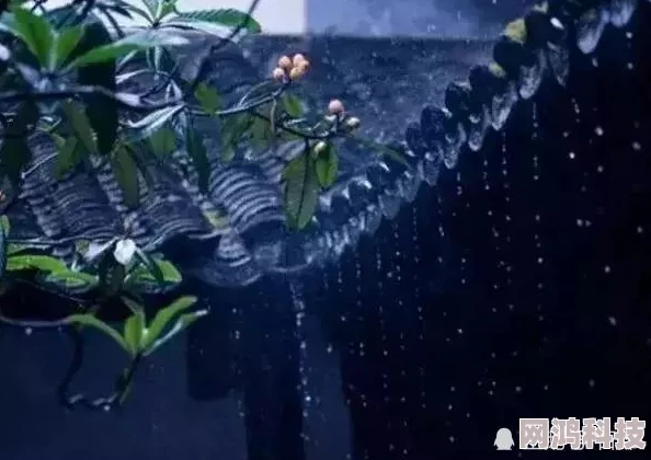 晨雨淅沥，与你共聆半世界之旅！雨落声音活动惊喜开启，爆料新旅程即将启程