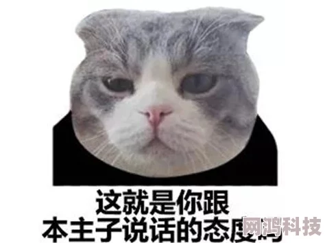 怪物猎人系列新手指南：揭秘哪款最适合入坑，内含最新爆料信息！