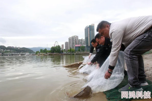 充气娃做爰视频xxxx已举报至相关部门涉嫌违法传播淫秽信息