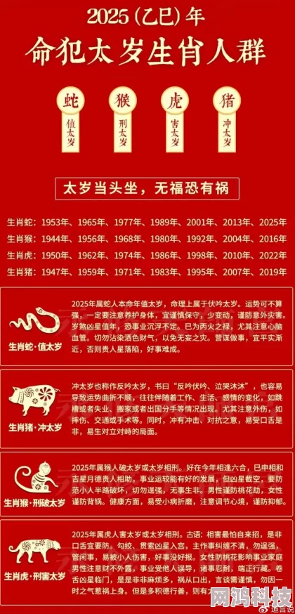 2025年远征将士如何精选命格？最新命格搭配技巧与趋势