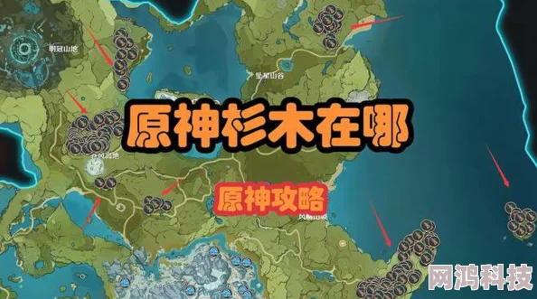 2025热门指南：原神衫木采集地点大全及最新高效获取攻略