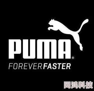 《人间地狱》：Puma品牌深度解析与产品介绍