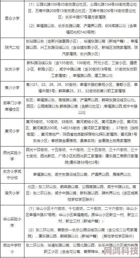 2025年瓦罗兰特段位机制全面解析：新增段位与热门上分策略揭秘