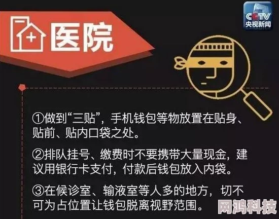 2025年热门快速小偷攻略秘籍全集_全攻略解析_最新快速小偷游戏攻略专区